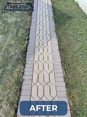 Clean, freshly washed hexagonal paver walkway after power washing, showcasing improved appearance.