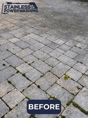 Before power washing, stained paver stones with visible moss and dirt.