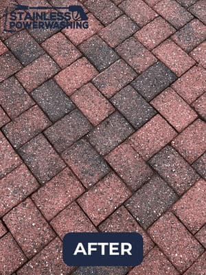 Cleaned and restored brick pavers after power washing, showcasing vibrant colors and detail.