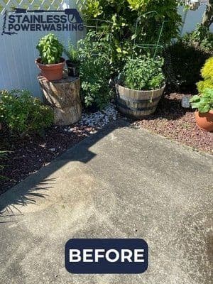 Before stainless power washing, showing a concrete patio and overgrown plants in planters.