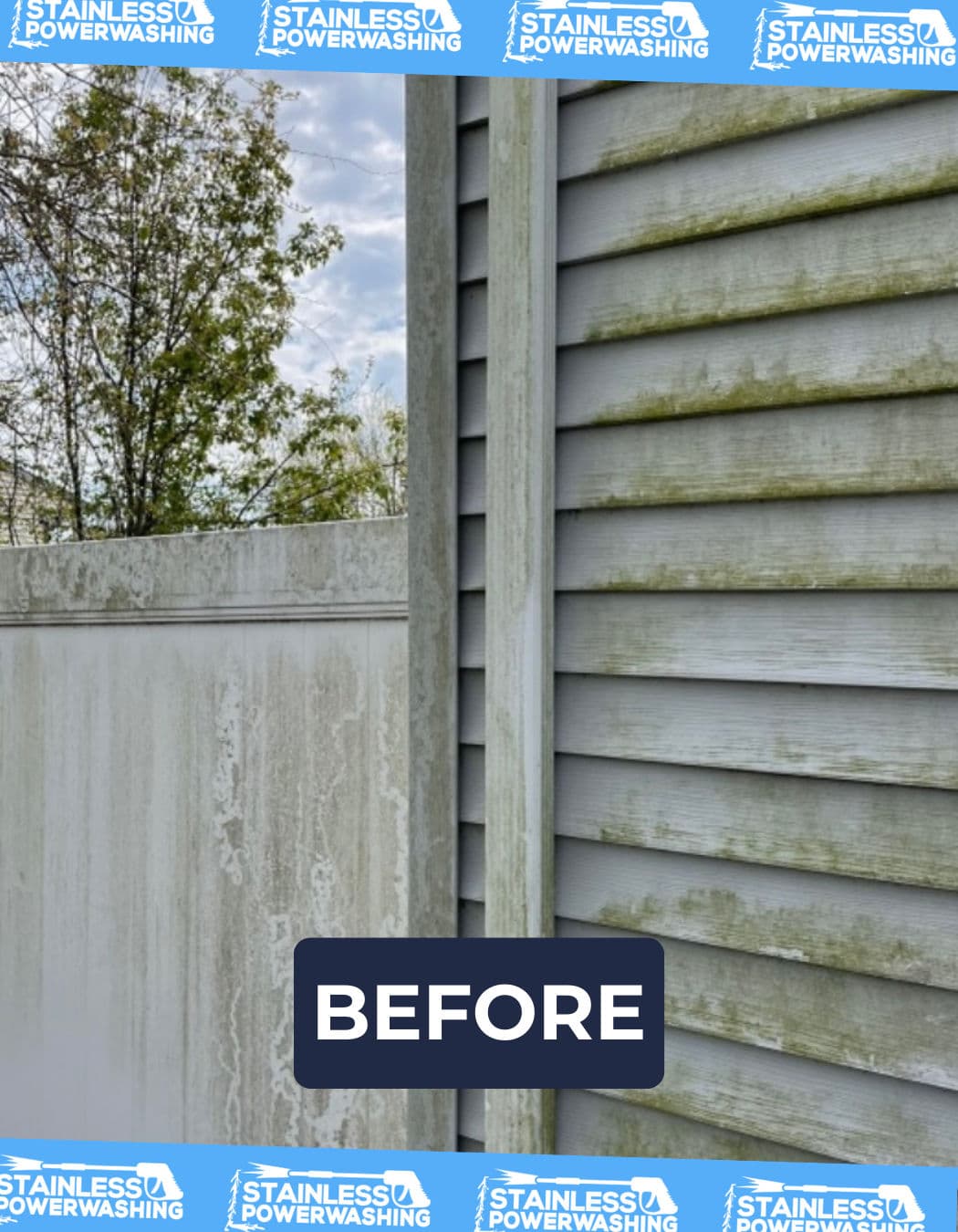 Before image showing green mold growth on exterior siding needing cleaning.