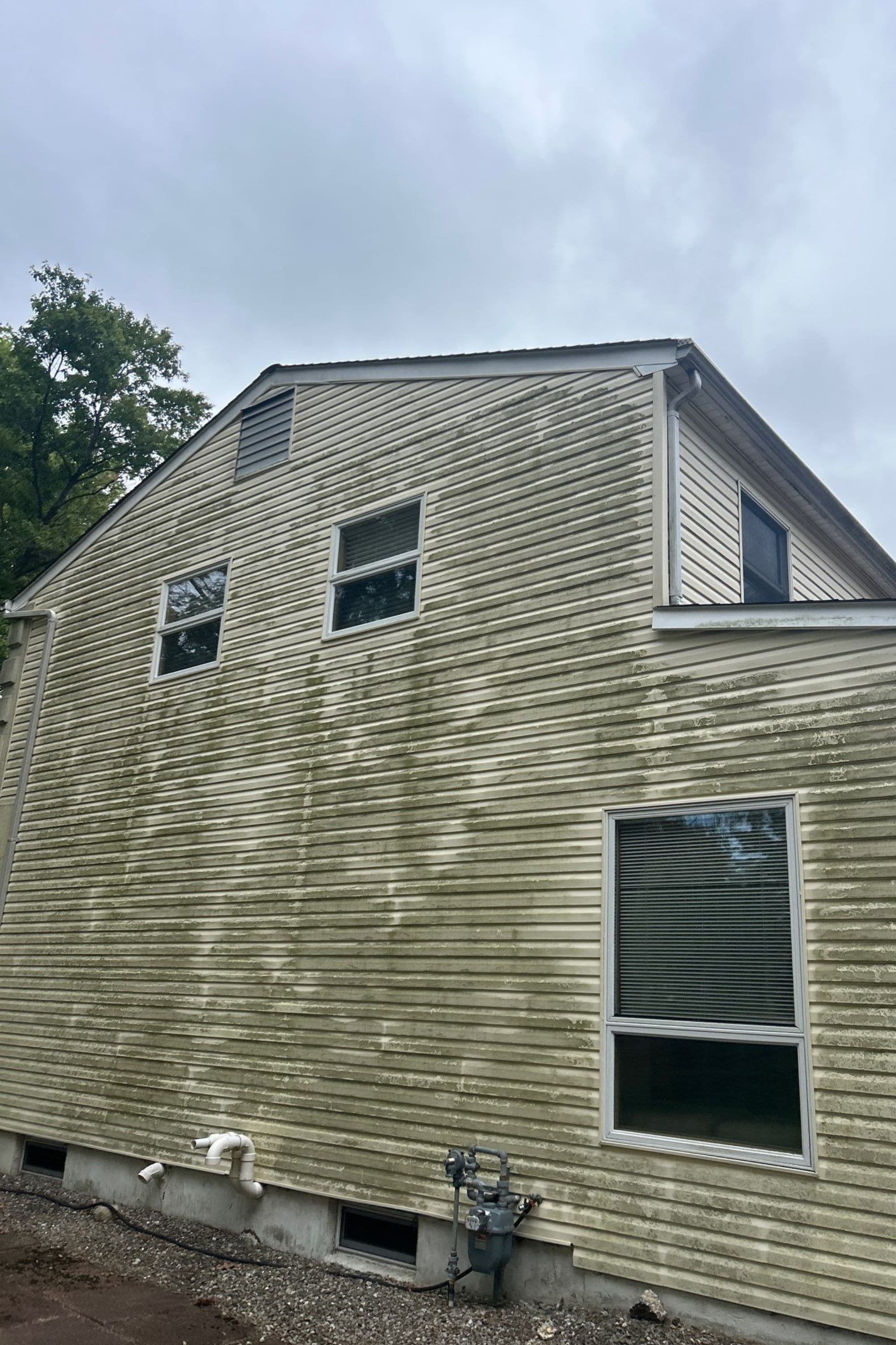 Mossy siding on a house with cloudy sky, showing potential for exterior cleaning services.